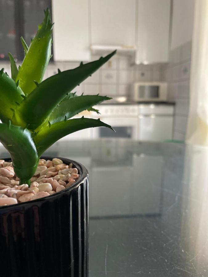 Apartments Mornar Poljica  Ngoại thất bức ảnh