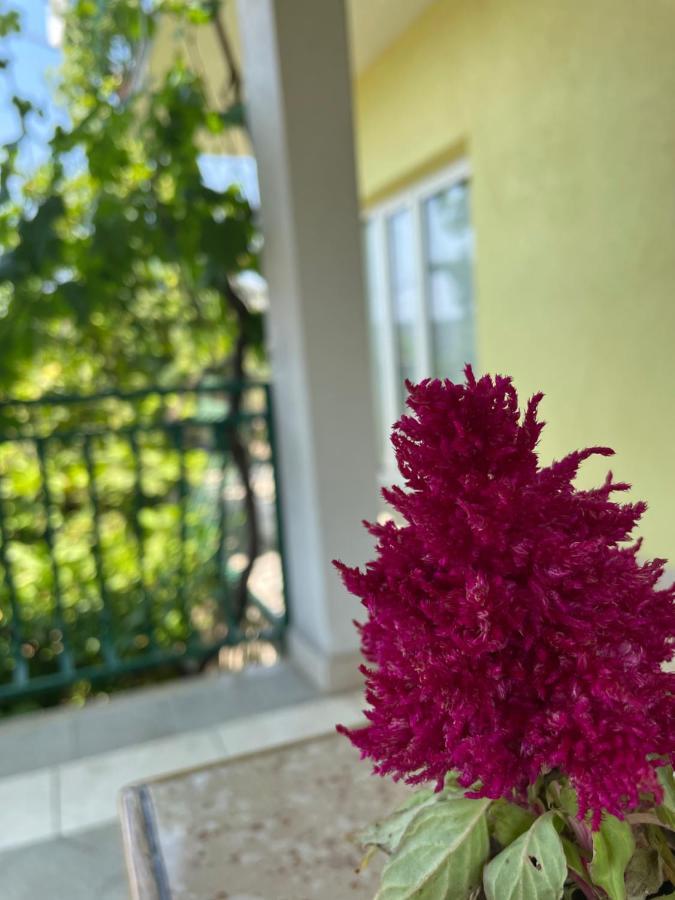 Apartments Mornar Poljica  Ngoại thất bức ảnh